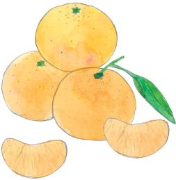fruit image